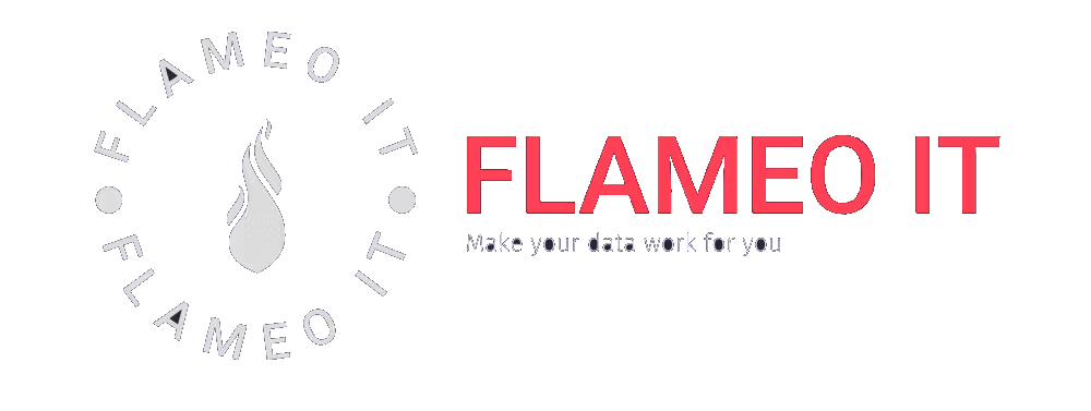 Flameo IT Ltd Logo